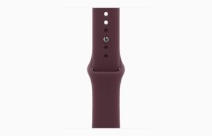 Apple Watch Series 12 Titanium